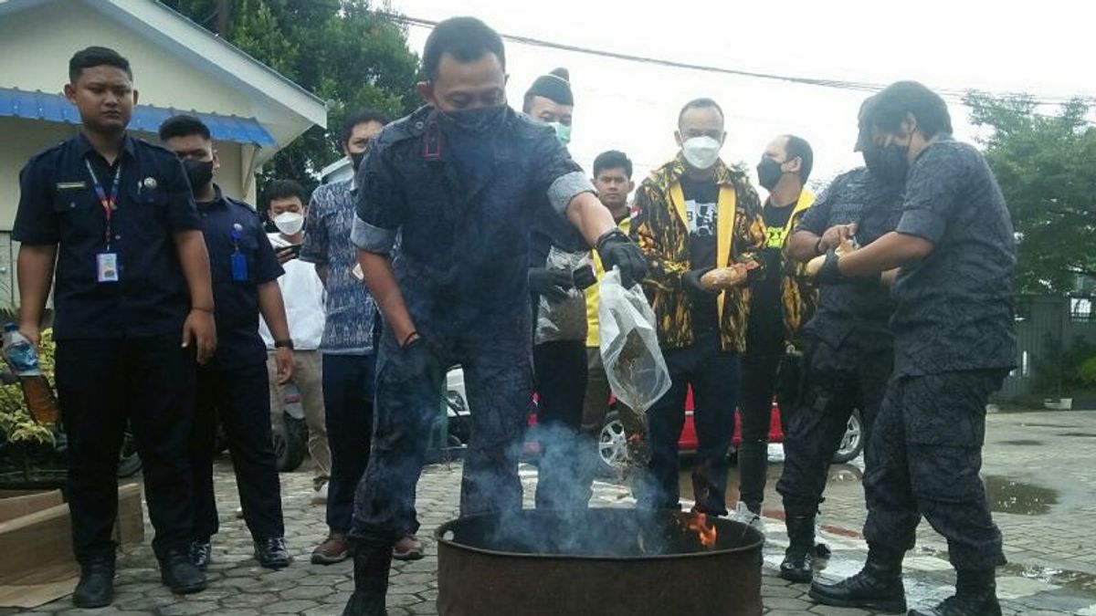 By Way Of Being Set On Fire, 1.1 Kg Of Marijuana Barbuk Narcotics Cases Were Destroyed By The East Kalimantan BNN
