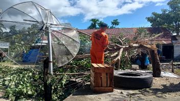 亚齐勿刹的数十所房屋因强风而被倒下的树木损坏