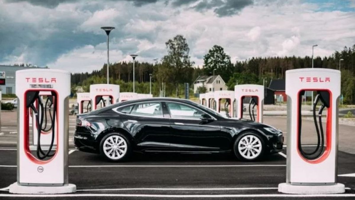 Menko Marves Bilang Tesla Sudah Teken Kontrak Pembelian Nikel Senilai Rp74,5 T