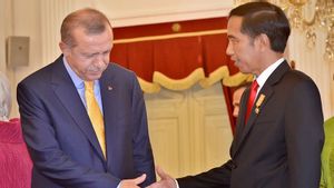 Lobi Presiden Erdogan di G20 Italia, Jokowi Ingin Pasar CPO RI Kembali Bergeliat di Turki