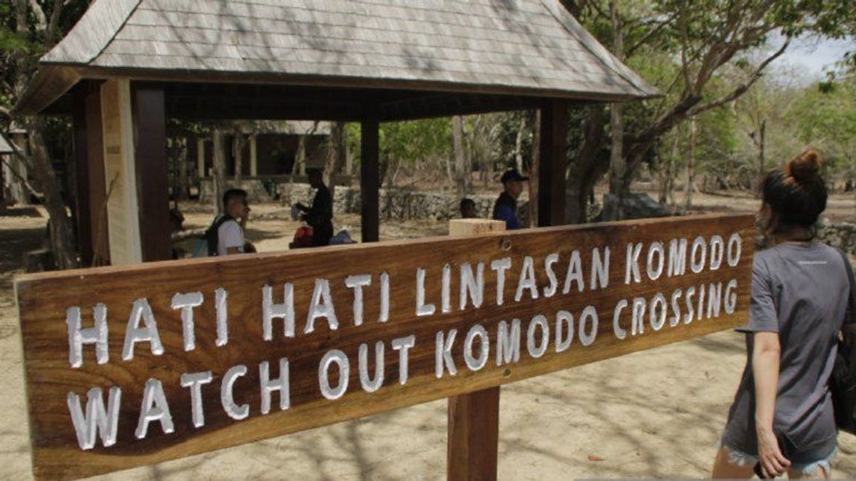 フロバモール、コモド国立公園観光サービスに対する独占疑惑を否定