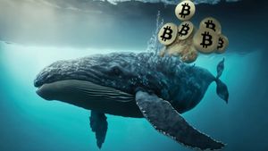 Whale Bitcoin Beraksi, Nyerok 47.000 BTC dalam Sehari 