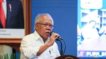 Pembangunan Taman Safari di IKN Masuk Tahap Desain, Segera Dikonsultasikan ke Prabowo