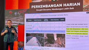 Pencarian Korban Hilang Akibat Bencana Dilanjutkan Sampai 8 Januari