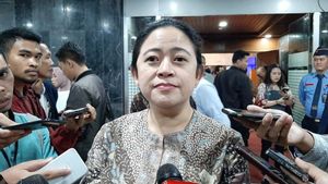 Ketua DPR Puan Maharani Ajak Masyarakat Jangan Lengah Lihat Angka Kasus COVID-19 Melandai