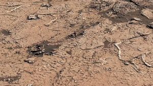 Rover Curiosity NASA Temukan Bukti Siklus Basah dan Kering di Mars yang Mendukung Kehidupan