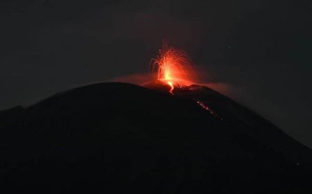 Sebelas Kali Erupsi Terjadi di Puncak Gunung Ile Lewotolok 