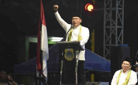 Wamentan Sudaryono Ajak Pwmuda Awasi Penyaluran Pupuk Subsidi