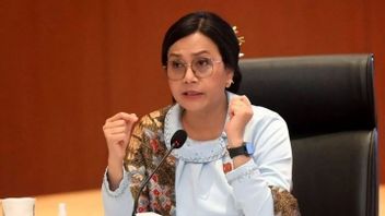Menkeu Sri Mulyani Kehilangan Sentuhan Teknokrat, Cenderung Mengikuti Program Politik
