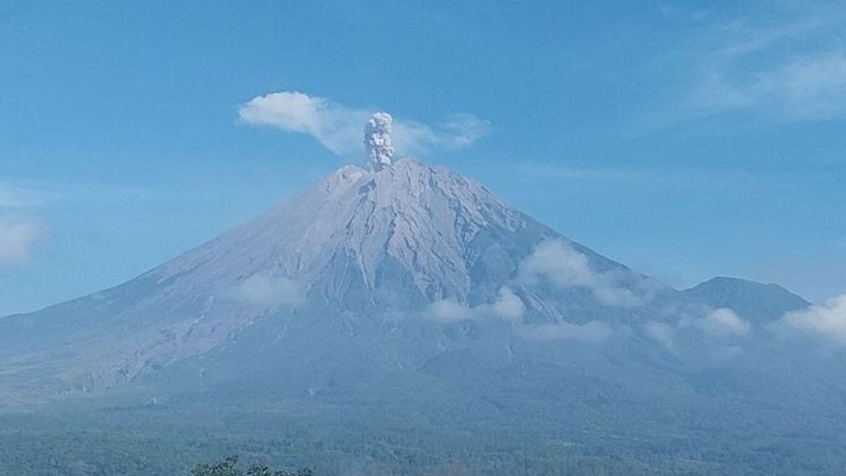 Le mont Semeru a 5 éruptions avec une hauteur d’éruption allant jusqu’à 900 mètres