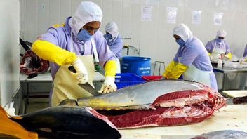 الصادرات تصل إلى 88.9 تريليون روبية ، فائض الميزان التجاري لمصايد الأسماك 5 مليارات دولار أمريكي