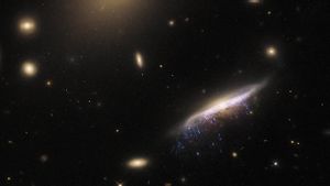 Teleskop Hubble Tangkap Galaksi Ubur-ubur dengan Tubuh yang Diselimuti Gumpalan Gas Pembentuk Bintang
