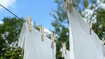 So As Not To Be Moldy, Here's The Right Way To Dry Clothes In The Rainy Season