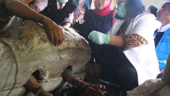 Dinsos Tulungagung Pantau Kondisi Tiga ODGJ yang Masih Dipasung