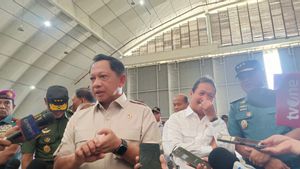 Mendagri Ungkap Kegiatan Pemkab Aceh Tamiang Terhenti Pascabanjir Bandang Sumatera