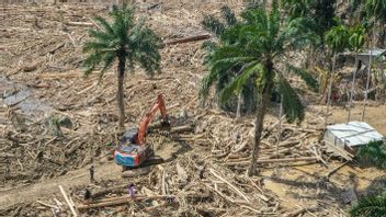 Update Korban Banjir Sumatera: 1.059 Tewas, 192 Masih Hilang