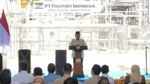 Commitment To Eradicating Illegal Mines, Prabowo: There Is Still Smuggling, We Will Take Action!