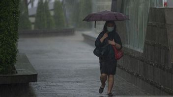 11月初旬、国内のほとんどの都市で雨が降ります