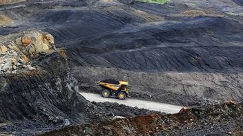 2024年第1四半期、PTBAの総石炭生産量は730万トンに達しました