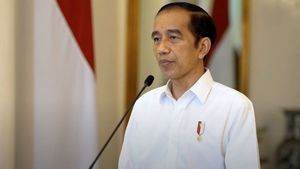 Perintah Jokowi Tangani Karhutla: Api Kecil Siram, Jangan Pakai <i>Water Bombing</i> Anggarannya Mahal
