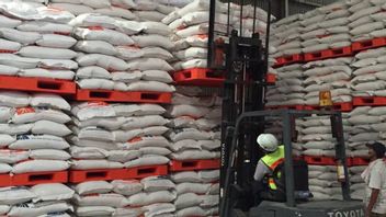 Serapan Tembus 2,1 Juta Ton, Ini Cara Bulog Jaga Kualitas Beras di Gudang