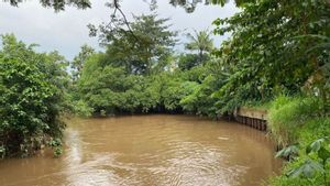 Pemprov DKI Prioritas Tangani 6 Lokasi Rawan Banjir di Ciliwung