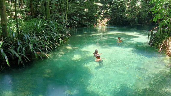 Wisatawan Domestik Mulai Kunjungi Kali Biru Raja Ampat, Sebagian Besar Pecinta Alam