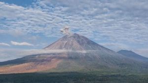 Senin Pagi, Semeru Tiga Kali Erupsi dan Muntahkan Abu hingga 900 Meter