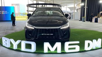 BYD M6 DM Cross Price Leaked, Here's the Manufacturer's Response