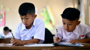 教育部:没有新课程,只添加编码和人工智能课程