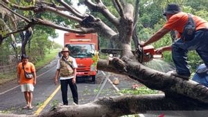 BPBD: NTB Dilanda Banjir dan Angin Kencang Akibat Cuaca Ekstrem