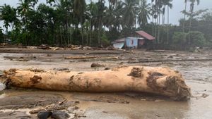 Butuh Rp73,98 Triliun untuk Perbaikan Pascabencana Sumatera