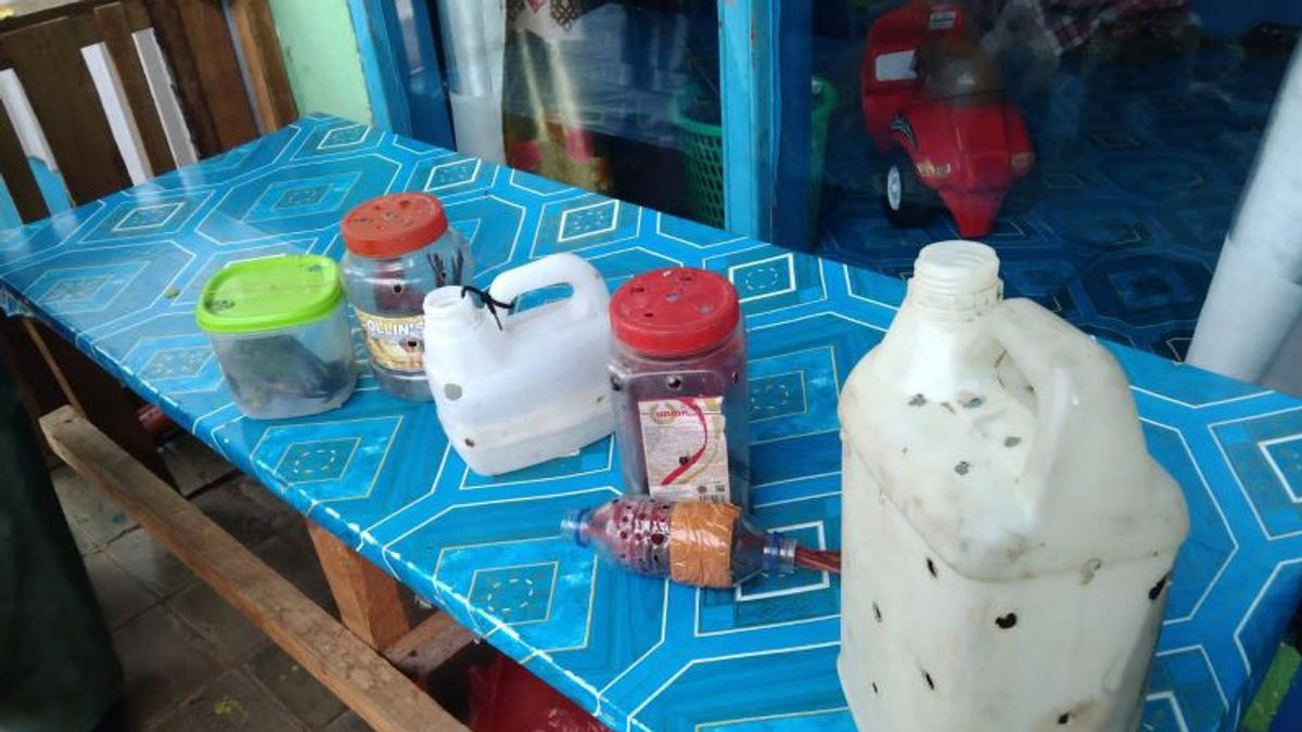 6 Protected Nuri Birds Seized At Namlea Port, Maluku, Some Are Included In Bottles