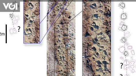 This is the age of dinosaur footprints scientists have found in the UK