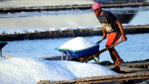 Pemerintah Kembali Buka Keran Impor Garam Industri