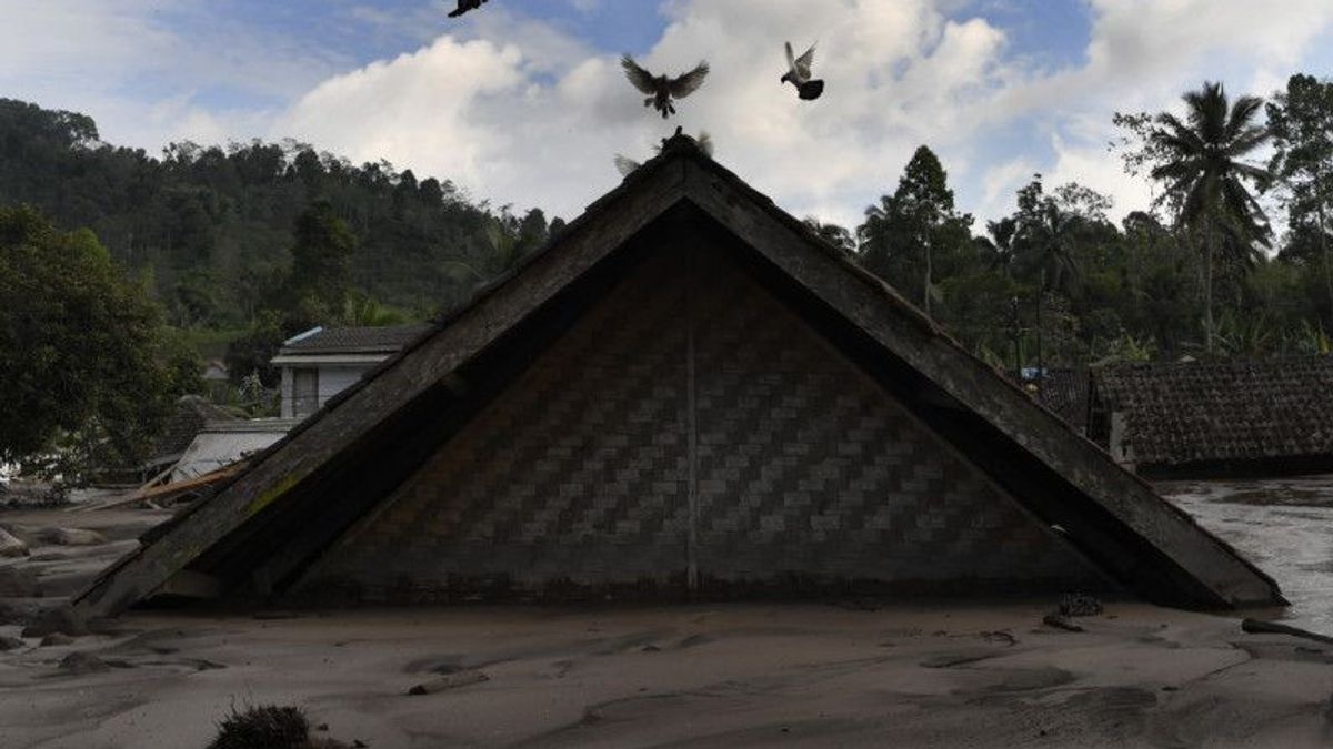 BNPB：塞梅鲁火山喷发受害者死亡，因此43人