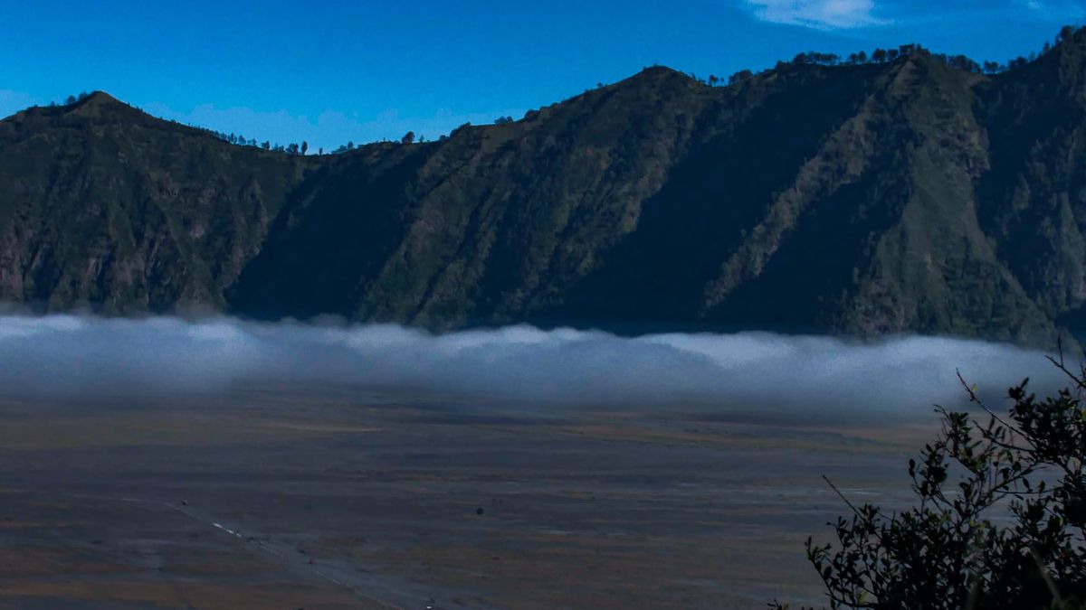 التعريفات المليونية المزدحمة للصور على جبل برومو ، المدير: وفقا ل PP No 12/2014