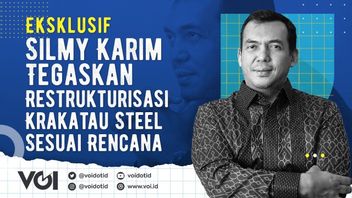 VIDEO: Eksklusif, Krakatau Steel Adalah Tantangan, Silmy Karim: Saya Suka Itu