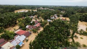 BNPB Catat 11 Orang Masih Hilang Akibat Banjir di Aceh, Jaringan Komunikasi Masih Terganggu