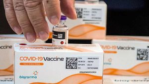 Vaksin Sinovac Kadaluarsa 25 Maret, Kemenkes Respon Gini 