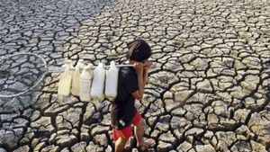 Kekeringan Meluas, BPBD Cirebon Malah Hentikan Distribusi Air Bersih