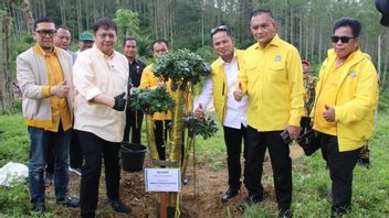 Part Of The Green And Sustainable Economy Program, Golkar Plants Banyan Trees At Zero Point