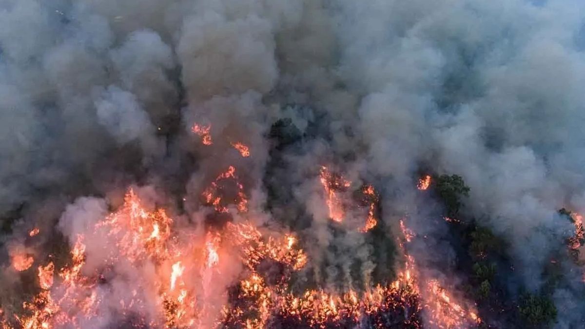 DLH Claims Thick Smoke Fog In Padang Shipments Of South Sumatra Karhutla, Bengkulu, Jambi To Riau