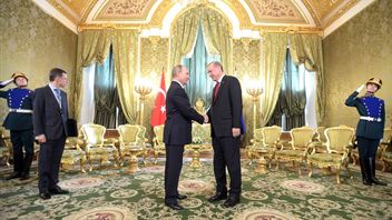 Talking On A Phone Call: President Erdoan Emphasizes Importance Of Ceasefire, Putin Wants Ukraine To Order Troops To Lay Down Arms