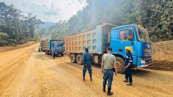 Ministry Of Transportation Finds 4 Illegal Mining Companies During Operations In Morowali Forest Area