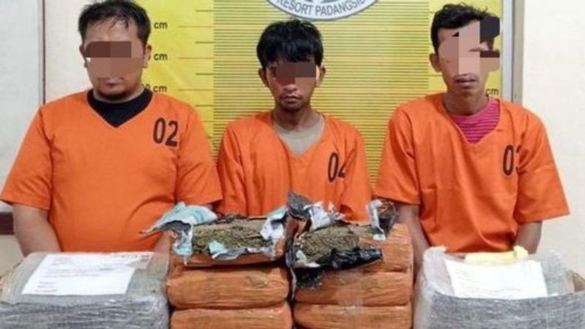 Padangsidimpuan Police Failed To Send 10 Bal Cannabis To Bekasi