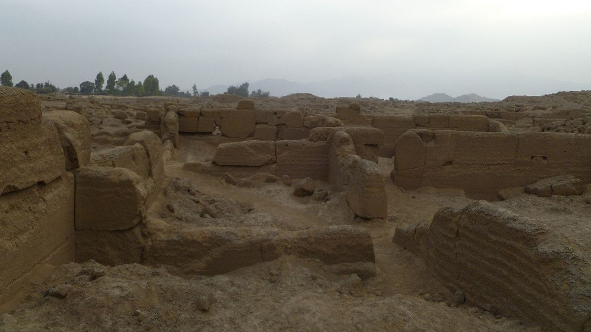 Archaeologists Examine The Remains Of 1,200-year-old Adults And Children In Cajamarquilla Peru