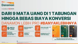 Danamon LEBIH PRO Hadir sebagai Produk Tabungan Valuta Asing dengan Beragam Fitur