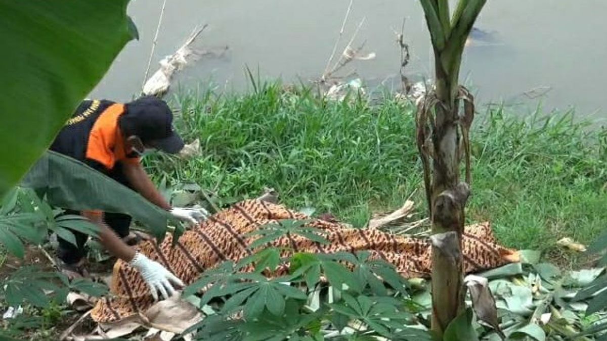 Wanita Lansia Korban Hanyut Ditemukan Tanpa Identitas di Kali Banjir Kanal Barat