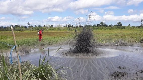 BPBD: انفجارات المياه المحتوية على الغاز في SBT Maluku غير سامة